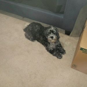 Meet your Posher, Michele